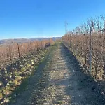 Casa A Con Vista Sulle Colline Σπίτι διακοπών